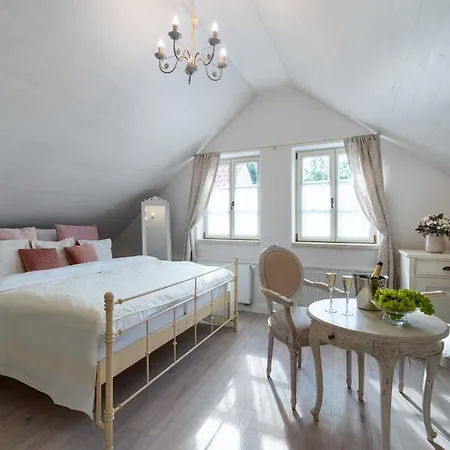 ゲストハウス Boutique Soukenikuv Dum 4*